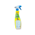Ace Mutfak Yağ Çözücü – Küchen Fettlöser 750 ml (Lemon & Bergamot)